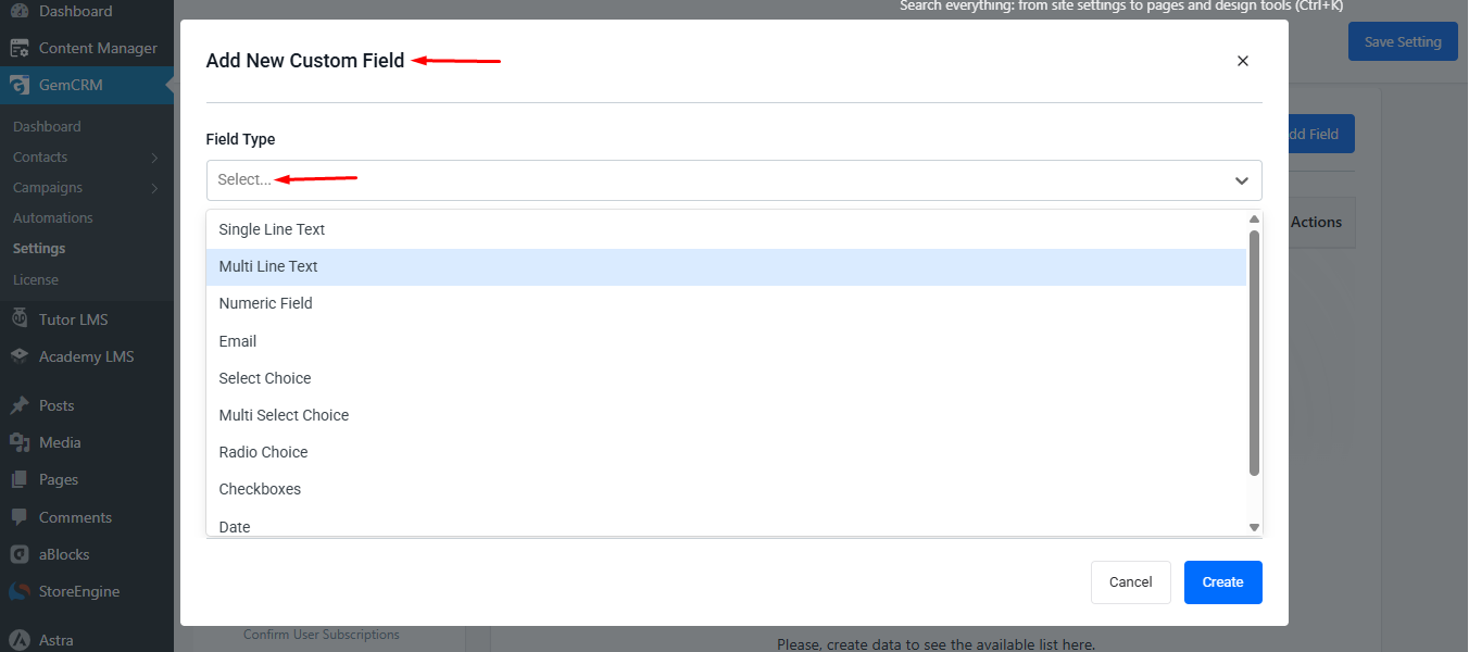 field type option